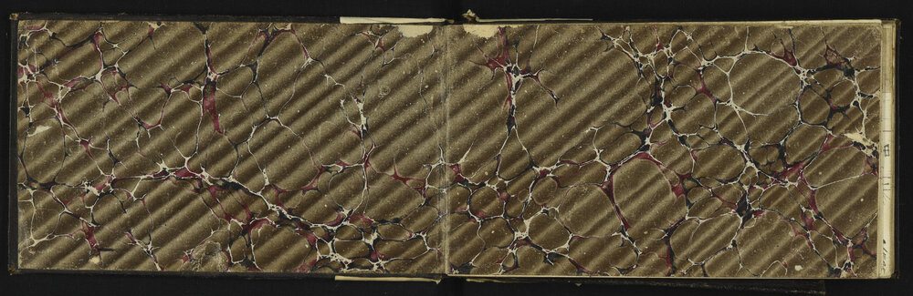 WN_1146-0002
