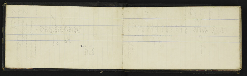 WN_1335-0005