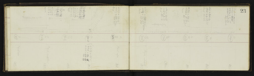 WN_1343-0006