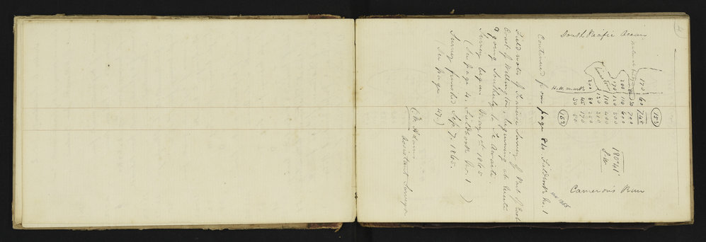 WN_1356-0005