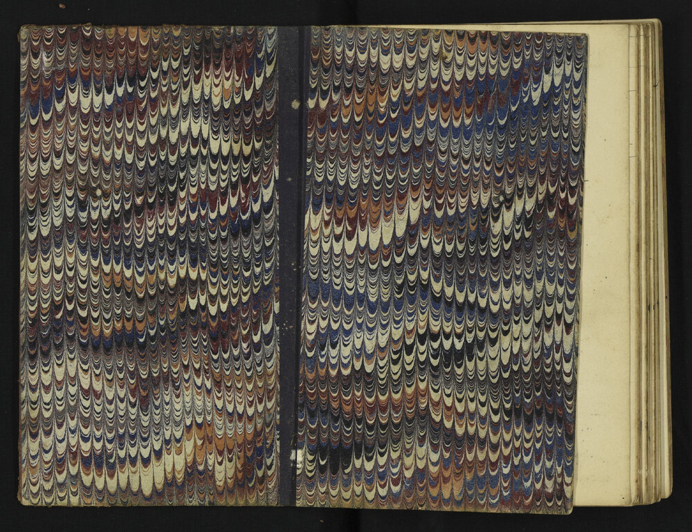 WN_1317-0002