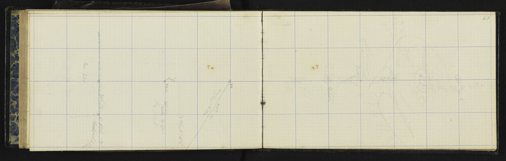 WN_1496-0068