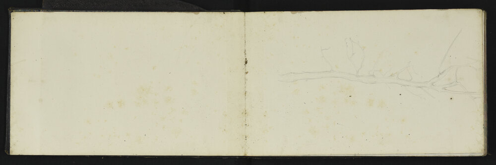 WN_1545-0003