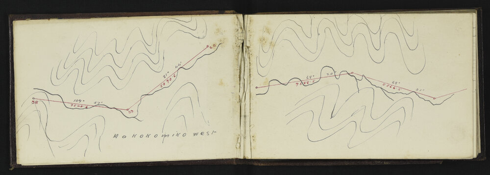 WN_1557-0004