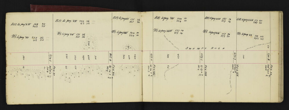 WN_1735-0006