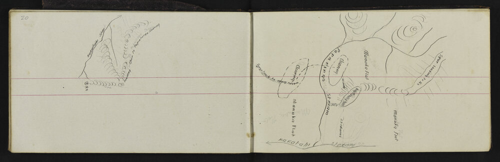 WN_2155-0026