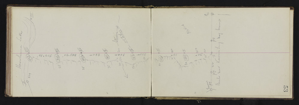 WN_2249-0049