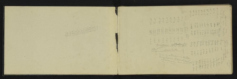 WN_2385-0003