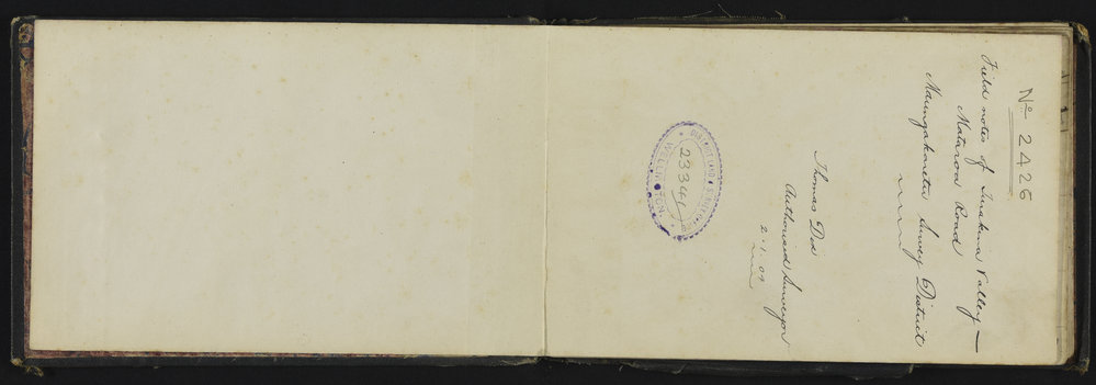 WN_2430-0003