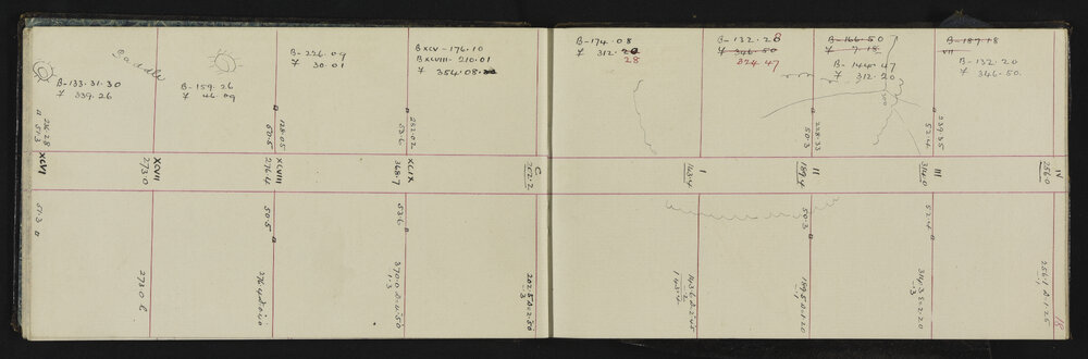 WN_2439-0021