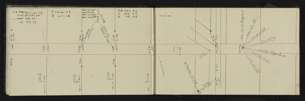 WN_2439-0024