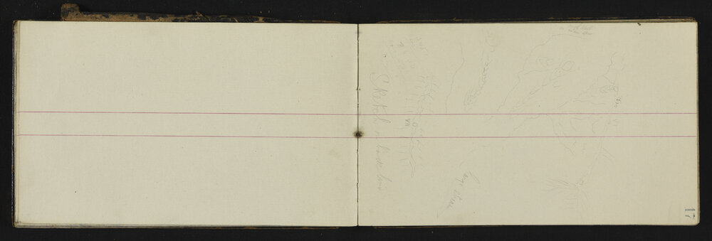 WN_2446-0018