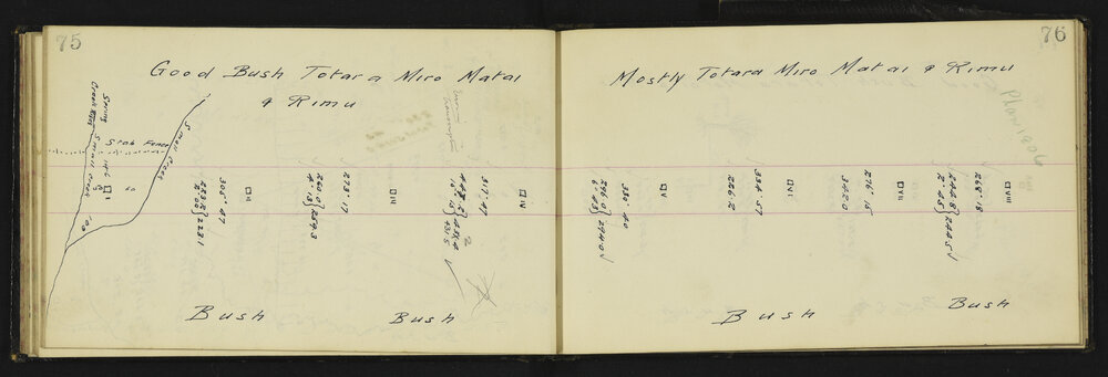 WN_2693-0038