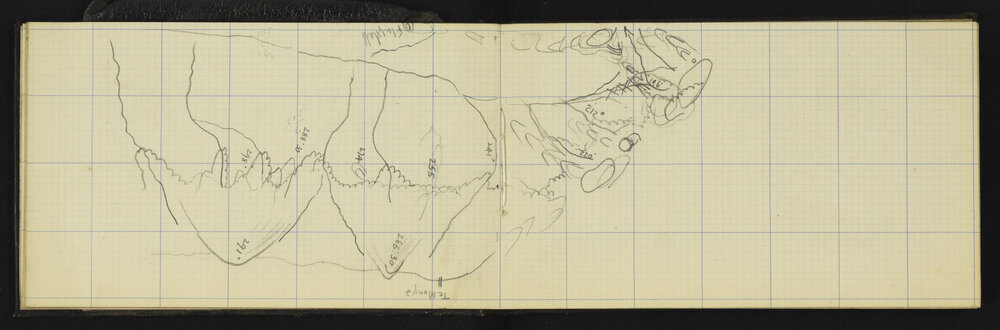 WN_2830A-0007
