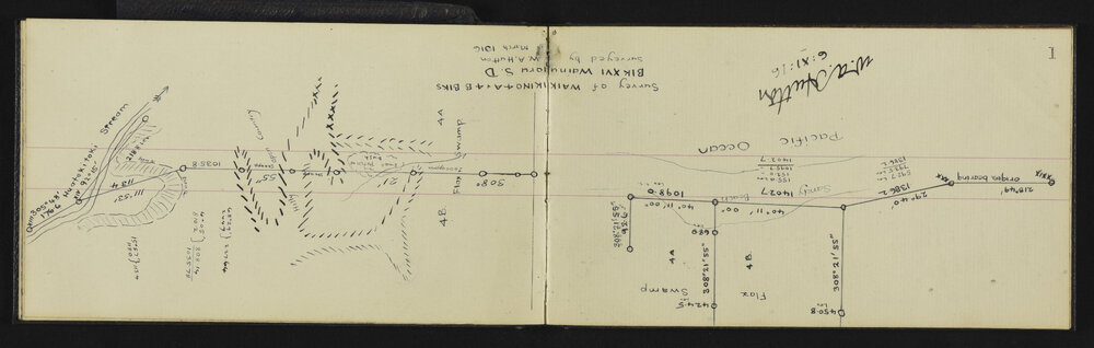 WN_2964-0006