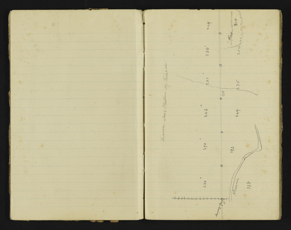 WN_2968A-0004