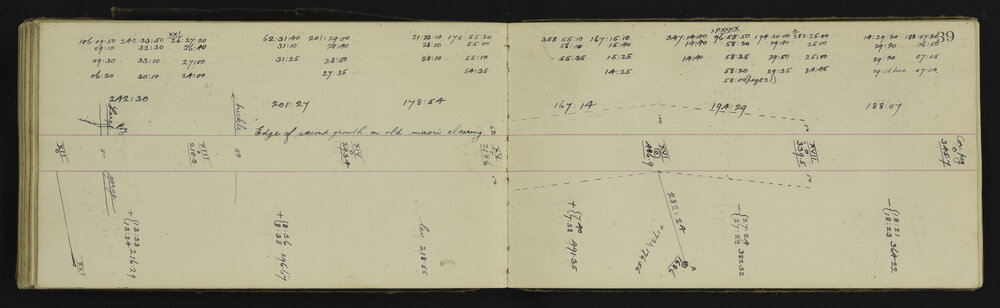 WN_2906-0049