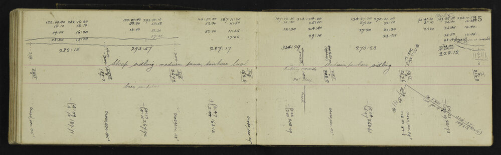 WN_2906-0055