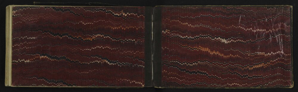 WN_2906-0061