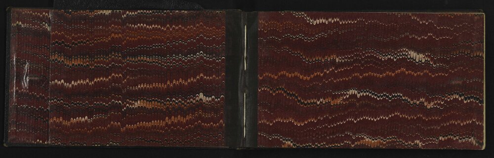 WN_2911-0002
