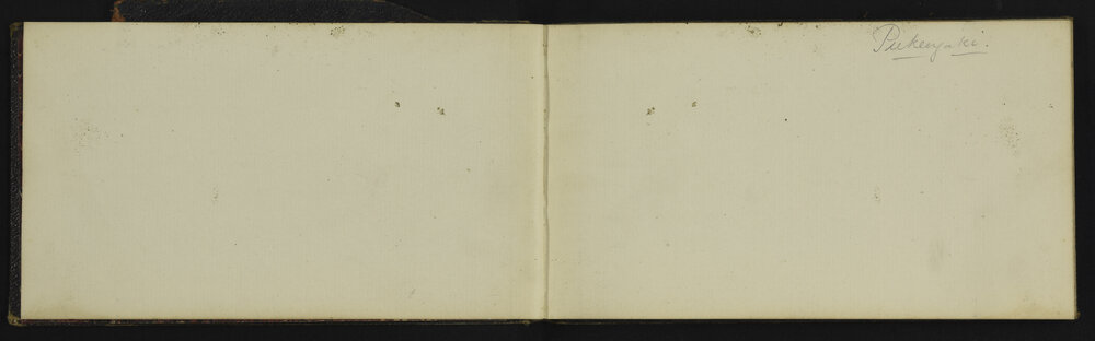 WN_2915-0003