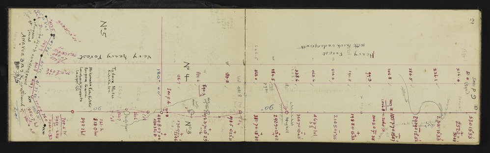WN_2975-0005