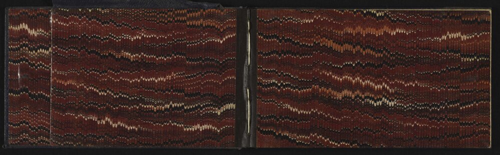 WN_2981-0002