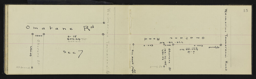 WN_2981-0019