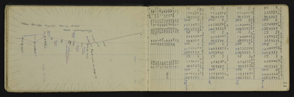 WN_3056-0017