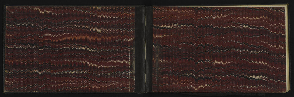 WN_3113-0002