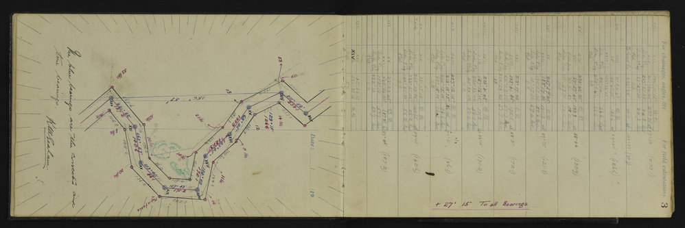WN_3117-0005