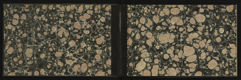 WN_3120-0002