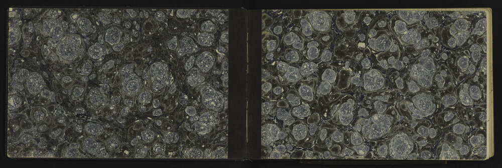 WN_3123-0002