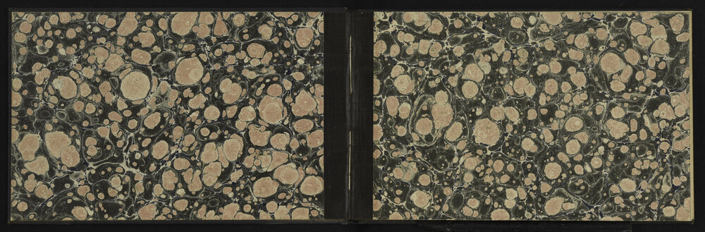 WN_3124-0002