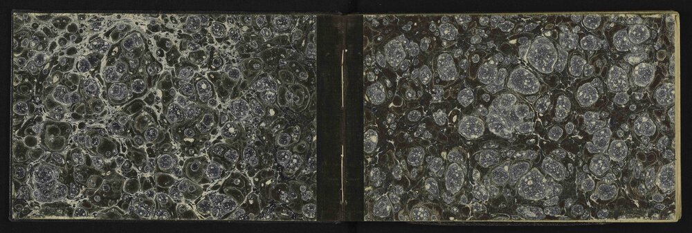 WN_3156-0002
