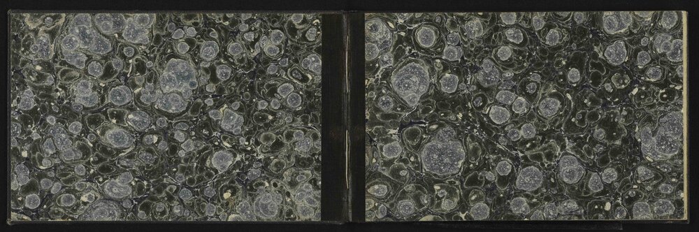 WN_3163-0002