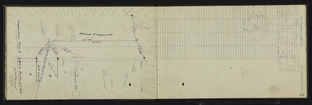 WN_3175-0009