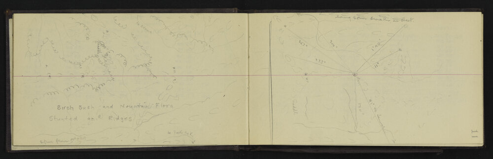 WN_3130-0013