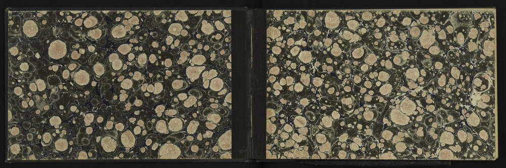 WN_3131-0002