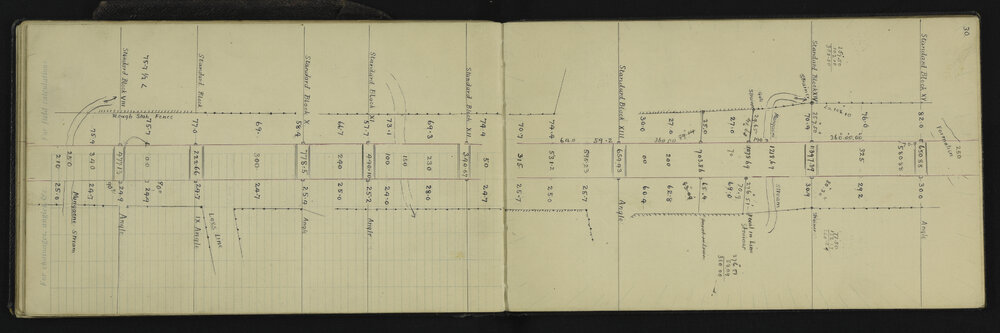 WN_3139-0038