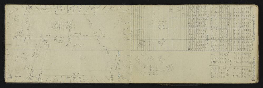 WN_3196-0006