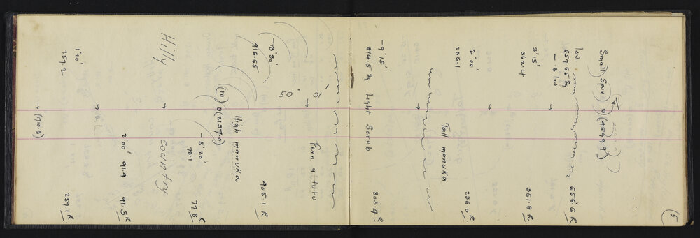 WN_3204-0007