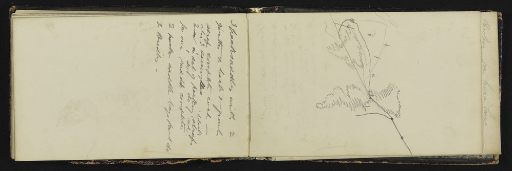 SA_0045-050