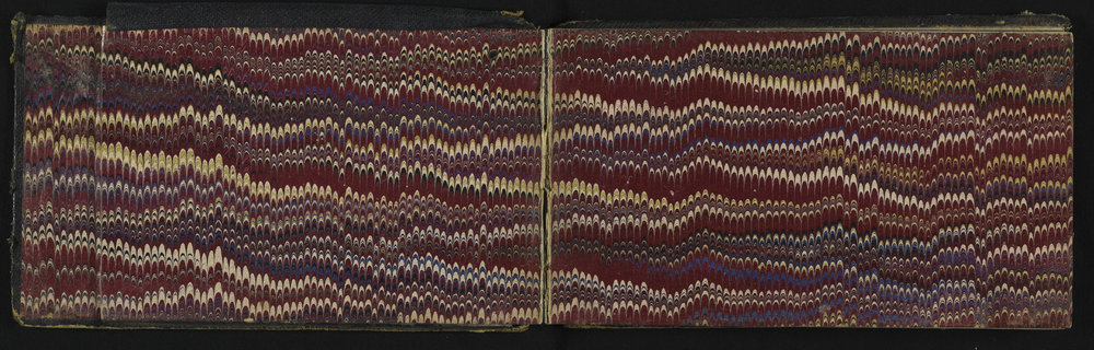 SA_0239-002