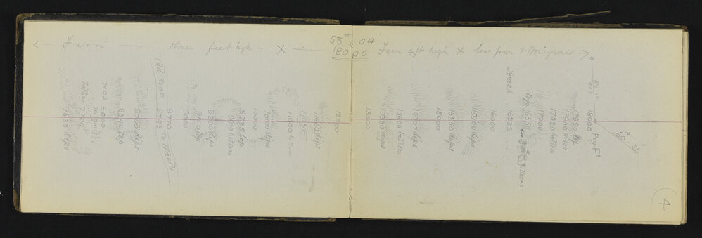 SA_0521-006