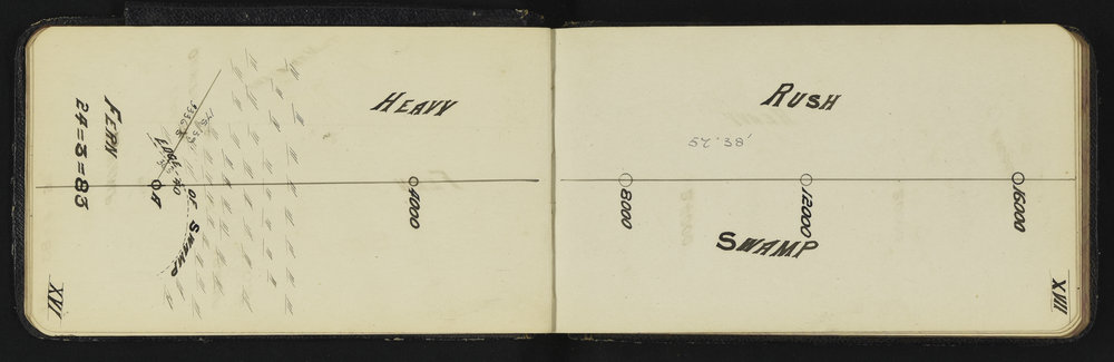 SA_0554-007