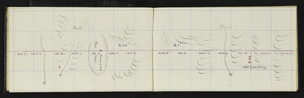 SA_1229-008