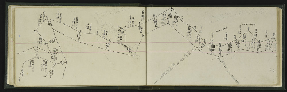 SA_1233-017