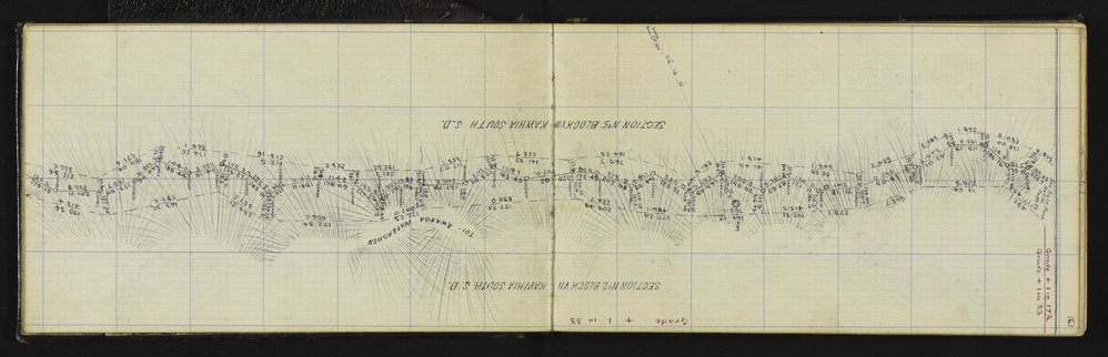 SA_1246-009