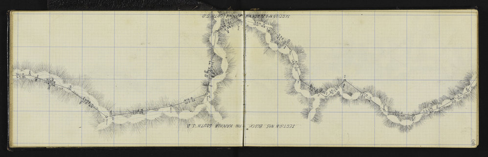 SA_1246-013